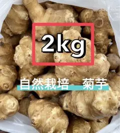 2kg 自然栽培 菊芋