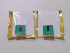 【竈門炭治郎】隊士百景コレクションピンズ④