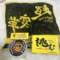 Item thumbnail for item f24ca3ff-8444-4447-8976-93b3b8a20f51