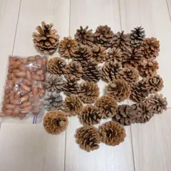 Item thumbnail for item 0bc01894-6041-474e-95d6-b3d09df5f1e1