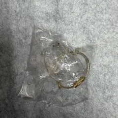 うちの子のけだまだま プードル