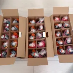 Item thumbnail for item 4f631a12-93a0-4b5b-af77-ff35992f9498