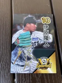 阪神タイガース 2025リーグ優勝 甲子園歴史館カード 伊原