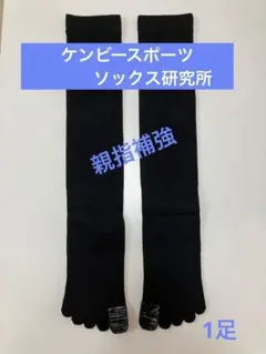 Item thumbnail for item ac924718-4f72-4fa8-a8d5-1d28d8cf7cc8