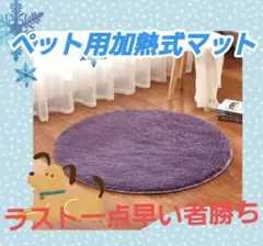 Item thumbnail for item a68c4ee0-9986-44f8-b4ba-359893eefd45