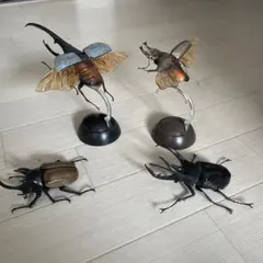 カブトムシ、クワガタセット