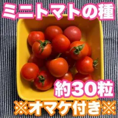 麟太郎様 リクエスト 2点 まとめ商品