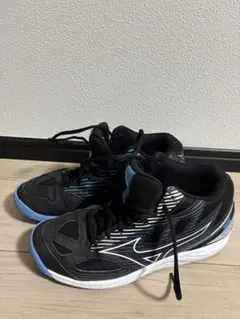 Item thumbnail for item 75301ca9-5dda-4bcb-9346-3b8fe37fc54f