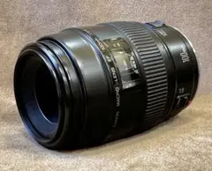 Item thumbnail for item 337b9621-ca04-448b-9dbc-8386e2578a4c