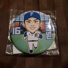 達孝太　缶バッジ　ファイターズ　ガチャ