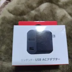 Nintendo USB ACアダプター