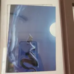 Item thumbnail for item e094f7fa-8355-45c2-80d9-e98c28312750