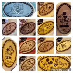 バラ売り可 ディズニーランド スーベニアメダル チームディズニー コンプリート