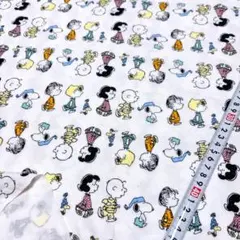 Item thumbnail for item 2bddc8b3-c508-430b-9564-8363a4c3df3e