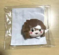 セガラッキーくじ　名探偵コナン　みんなといっしょーおもいでへんー　E賞　灰原哀