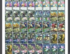 緑単キャベッジ