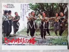 ひめゆりの塔 栗原小巻 古手川祐子 田中好子 大場久美子 映画チラシ