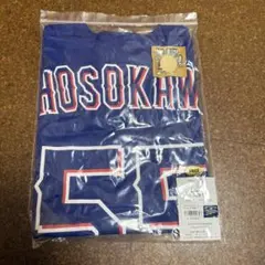 カ*ャ様 タティスJr. WBC 2026ドミニカ代表TシャツXL - メルカリ
