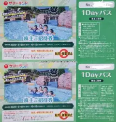 東京サマーランド 株主ご招待券 1Dayパス 2枚セット - メルカリ