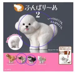 Item thumbnail for item a9c3cead-e728-498b-8964-82582b81a497