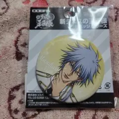 仁王雅治 缶バッジ 10個セット テニスの王子様 仁王 雅治 缶バッジコレクション フルカラー缶