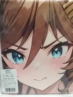 超大バスタオル ミスターシービー