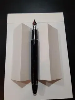 セーラー NAGASAWA オリジナル スケルトン お手入れ前 13D47 2025年