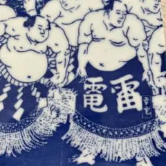 Item thumbnail for item 0c06aec4-40e3-40ee-8f3b-05d614bf3240