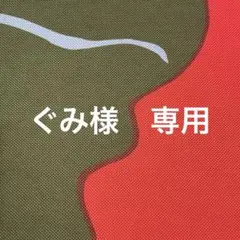 すぐ発送　ぐみ様　専用