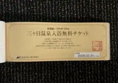 ぴー様専用　2枚追加分