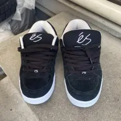 esスニーカー vans Osiris lanvin DC sk8 swagのサムネイル