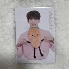 SEVENTEEN Happy Ending CARAT盤　トレカ　ウォヌ SEVENTEEN ウォヌ Happy Ending トレカ セット