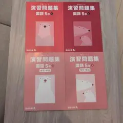 四谷大塚　演習問題集 国語 5年 上下巻セット