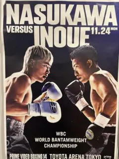那須川天心 井上拓真 PRIME VIDEO BOXING 14 ポスターのサムネイル