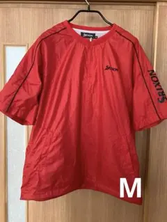 Item thumbnail for item 98eba456-d046-4dc0-95f2-d2abb79fca76