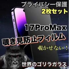 プライバシー保護【iPhone 17ProMax】覗き見防止ゴリラフィルム　２枚