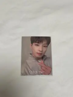 SEVENTEEN ウォヌトレカ