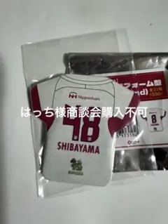 2026年最新】柴山昌也の人気アイテム - メルカリ