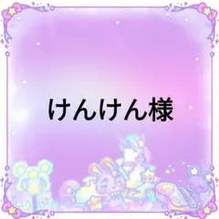 けんけん様❤専用