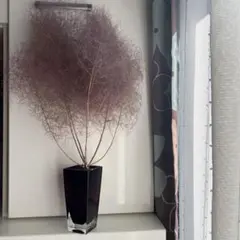 スモークツリー インテリア