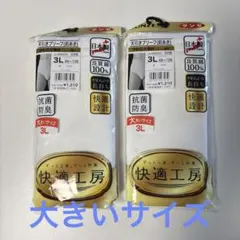 快適工房 3Lサイズ 下着 2枚セット