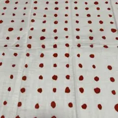 ハギレ　生地　水玉　ドット　伊藤尚美　ナニイロ　ポチョ