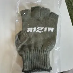 Item thumbnail for item 26be12f7-6869-4b59-b05e-bcd4cfd167eb