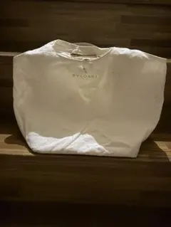 Item thumbnail for item a805e61e-018b-4766-8c09-d86fa480b33e