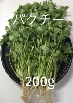 パクチー 香菜 コリアンダー 200g - メルカリ
