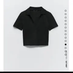 ZARA　ポロシャツ　開襟　半袖　カットソー　クロップド