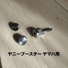 Item thumbnail for item 75f1daaf-3365-4c87-bcee-bde7950cffca