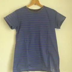 GLOSTER ボーダー 半袖 Tシャツ サイズ0のサムネイル