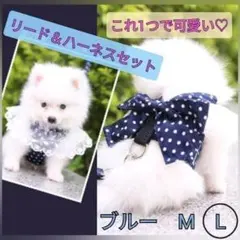 Item thumbnail for item c28f5ea2-12a5-46c0-bbb2-fc00b8771f52