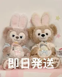 上海ディズニー　春日限定シリーズ　ダッフィー&シェリーメイぬいぐるみSSサイズ